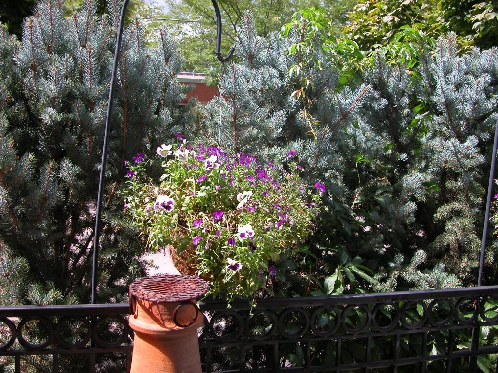Old Town Guesthouse B & B Colorado Springs Ngoại thất bức ảnh